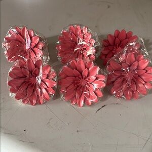 Park designs split pea set of six napkin rings ZINNIA